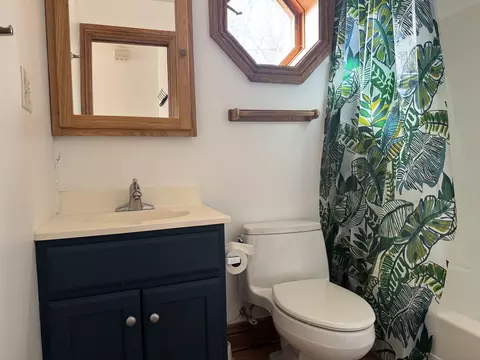 Bath - 215 E Pine Ave, Roselle, IL 60172 photo 6 of 6