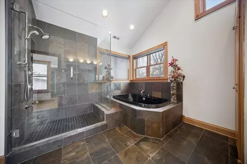 Bath - 215 E Pine Ave, Roselle, IL 60172 photo 3 of 6