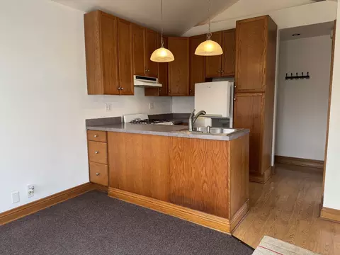 Kitchen - 215 E Pine Ave, Roselle, IL 60172 photo 4 of 4