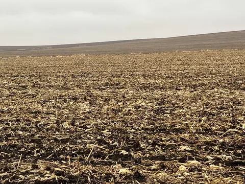 00 Allens Grove Rd, Dixon, IA 52745