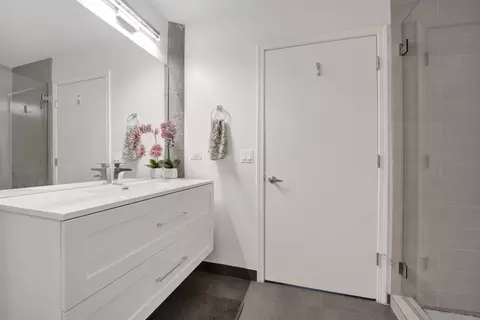 Bath - 320 E 21st St #504, Chicago, IL 60616 photo 1 of 3