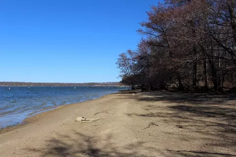 5751 White Pigeon Rd, Weldon, IL 61882 photo 3