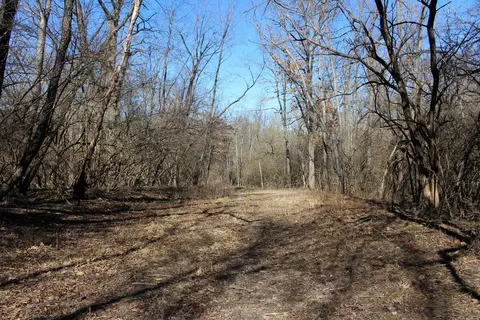 5751 White Pigeon Rd, Weldon, IL 61882 photo 18