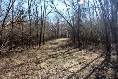 5751 White Pigeon Rd, Weldon, IL 61882 photo 20