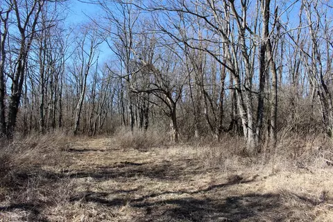 5751 White Pigeon Rd, Weldon, IL 61882 photo 17