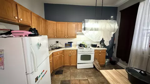 521 E 46th Pl, Chicago, IL 60653 photo 2