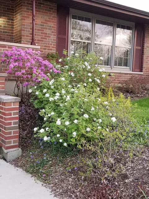 1095 Lancaster Ct, Hoffman Estates, IL 60169 photo 37