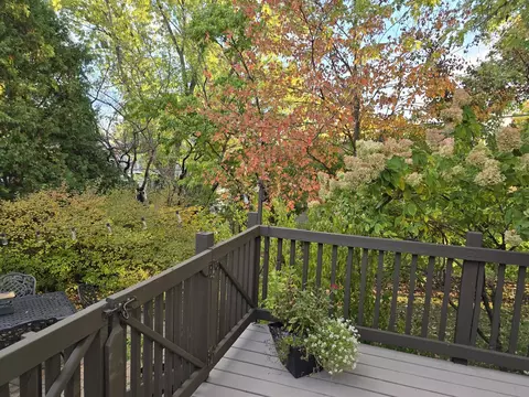 1095 Lancaster Ct, Hoffman Estates, IL 60169 photo 30