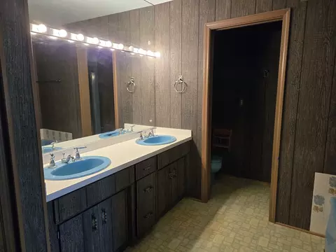 Bath - 1663 E Rietveld Dr, Crete, IL 60417 photo 1 of 4