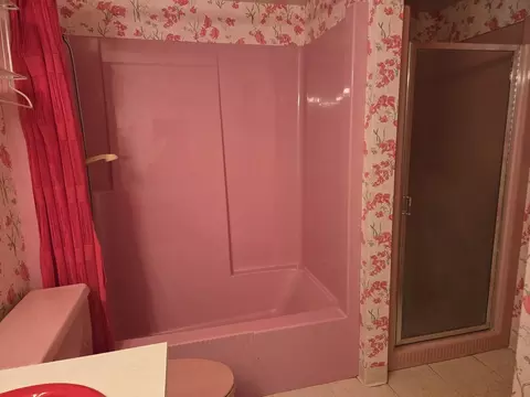 Bath - 1663 E Rietveld Dr, Crete, IL 60417 photo 3 of 4