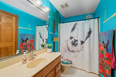 Bath - 4480 Thornbark Dr, Hoffman Estates, IL 60192 photo 1 of 2