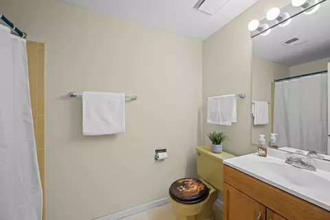Bath - 4480 Thornbark Dr, Hoffman Estates, IL 60192 photo 2 of 2