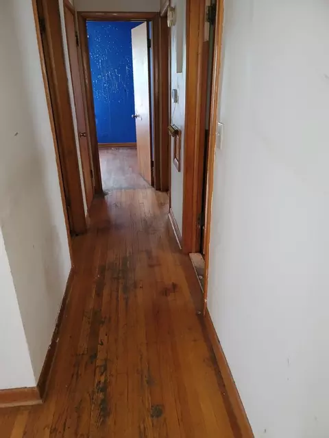 Entry Way - 213 S Summit St, Wheaton, IL 60187 photo 2 of 3