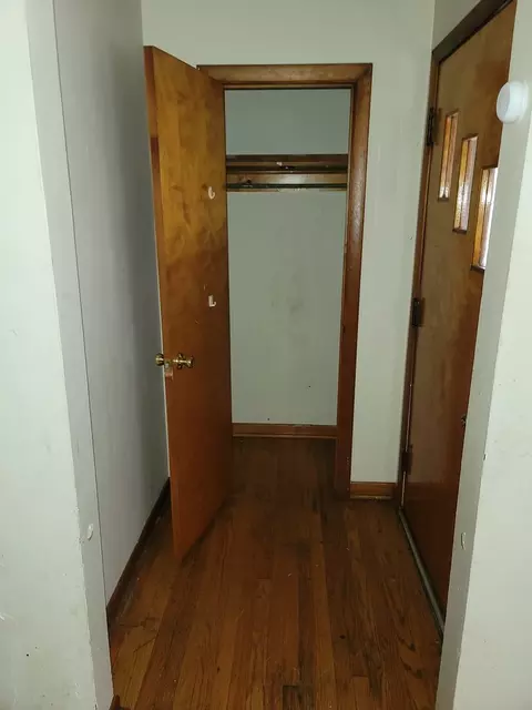 Entry Way - 213 S Summit St, Wheaton, IL 60187 photo 3 of 3