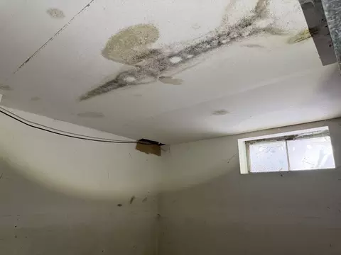 Other - 213 S Summit St, Wheaton, IL 60187 photo 9 of 17