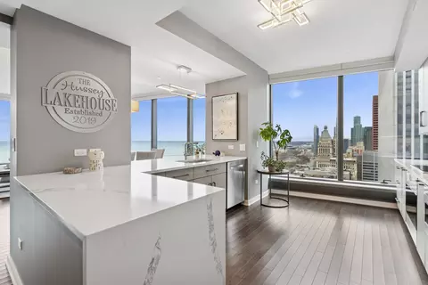 60 E Monroe St #3402, Chicago, IL 60603 photo 9