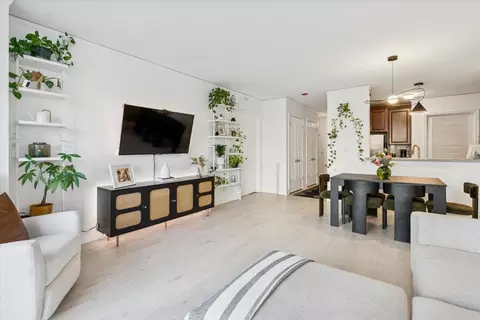 Living - 420 E Waterside Dr #509, Chicago, IL 60601 photo 3 of 3
