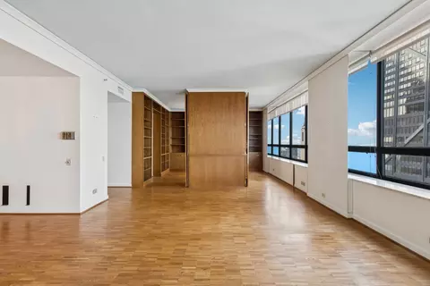 180 E Pearson St #4202, Chicago, IL 60611 photo 17