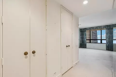 180 E Pearson St #4202, Chicago, IL 60611 photo 23