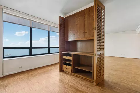 180 E Pearson St #4202, Chicago, IL 60611 photo 18