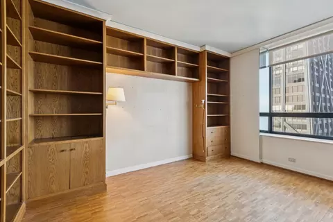 180 E Pearson St #4202, Chicago, IL 60611 photo 19