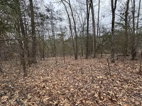 000 Indian Creek Dr, Goreville, IL 62939