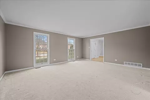 2802 Wedgewood Dr, Naperville, IL 60565 photo 23