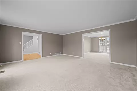 2802 Wedgewood Dr, Naperville, IL 60565 photo 19