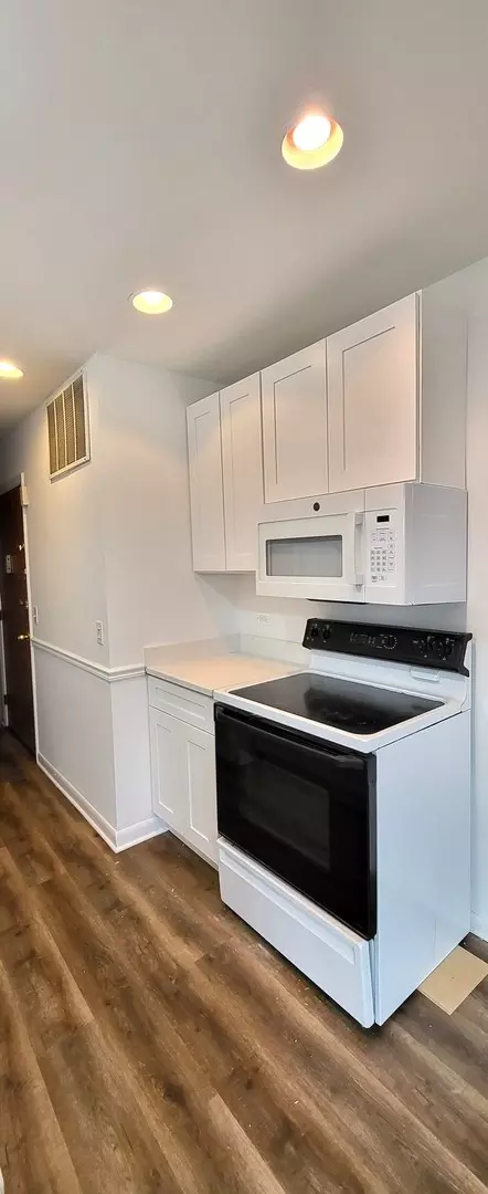 Kitchen - 1607 E Maple Ter #2D, Lisle, IL 60532 photo 2 of 2