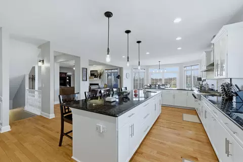 Kitchen - 25230 S Tuscany Dr E, Monee, IL 60449 photo 5 of 5