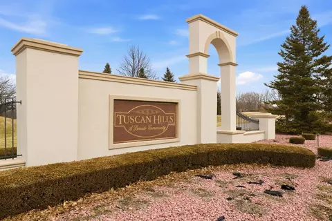 View/Area - 25230 S Tuscany Dr E, Monee, IL 60449 photo 1 of 1