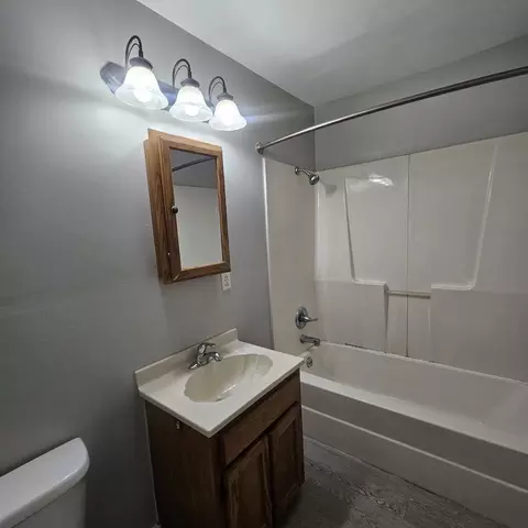 Bath - 1005 Pace Ave, Mount Vernon, IL 62864 photo 2 of 2