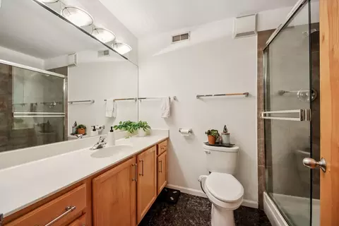 Bath - 215 N Aberdeen St #B401, Chicago, IL 60607 photo 1 of 3
