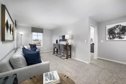 14850 S Parkview Dr, Plainfield, IL 60544 photo 19