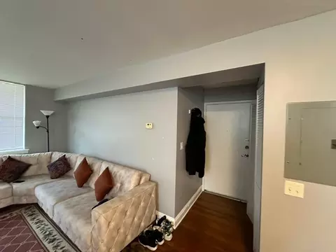 Entry Way - Undisclosed, Chicago, IL 60645 photo 1 of 2