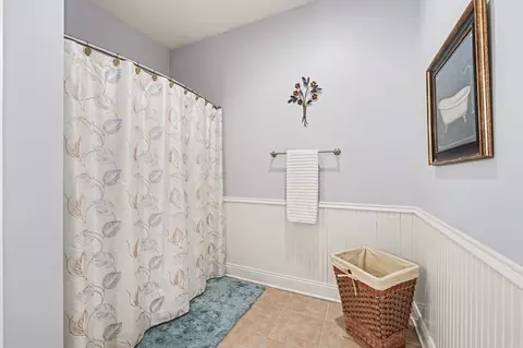 Bath - 1744 E Offner Rd, Beecher, IL 60401 photo 6 of 7