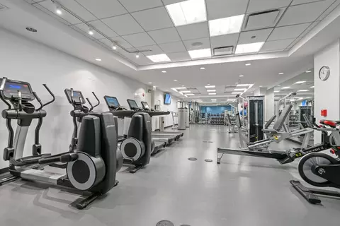 Other - 159 E Walton Pl #9E, Chicago, IL 60611 photo 7 of 7