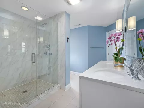 184 E Grantley Ave, Elmhurst, IL 60126 photo 20
