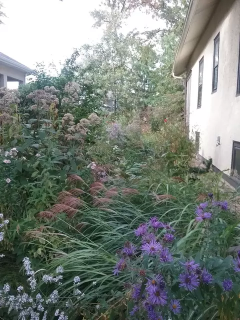 2500 Thayer St, Evanston, IL 60201 photo 29
