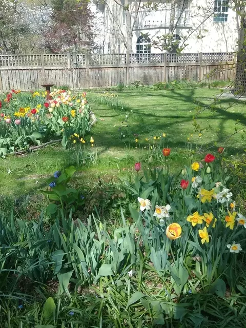2500 Thayer St, Evanston, IL 60201 photo 32
