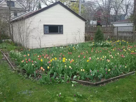 2500 Thayer St, Evanston, IL 60201 photo 31
