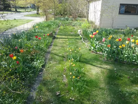 2500 Thayer St, Evanston, IL 60201 photo 33