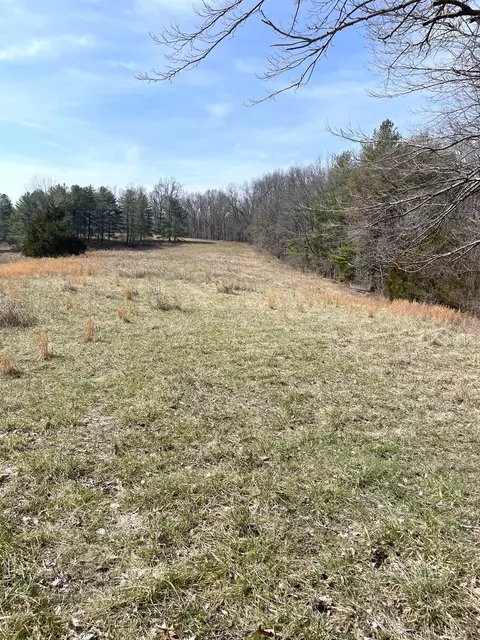 Other - 3085 Kaolin Rd, Cobden, IL 62920 photo 15 of 20