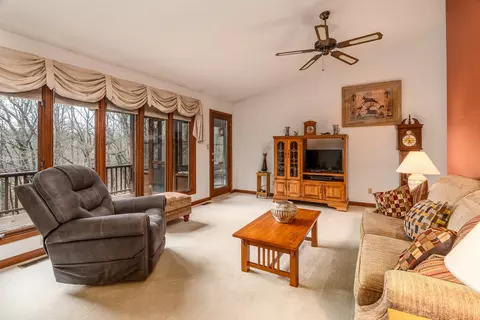 Living - 3085 Kaolin Rd, Cobden, IL 62920 photo 2 of 4