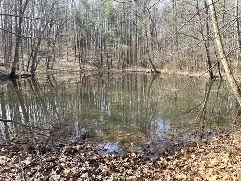 View/Area - 3085 Kaolin Rd, Cobden, IL 62920 photo 3 of 12