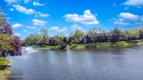 14 Kyle Ct, Willowbrook, IL 60527 photo 30