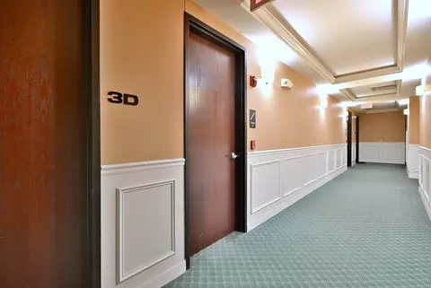 Entry Way - 127 N Walnut St #3D, Itasca, IL 60143 photo 3 of 6