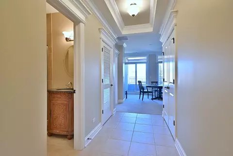 Entry Way - 127 N Walnut St #3D, Itasca, IL 60143 photo 5 of 6