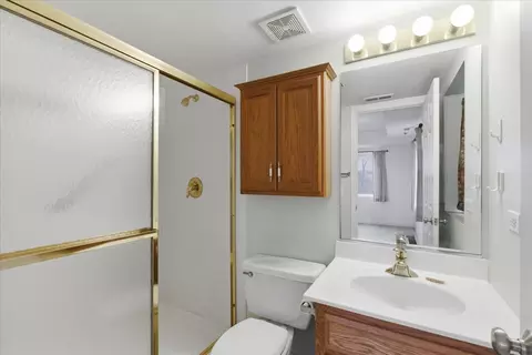 Bath - 7316 40th St #2E, Lyons, IL 60534 photo 1 of 2
