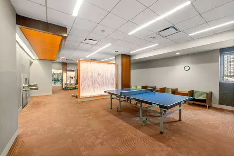 Other - 400 E Randolph St #3702, Chicago, IL 60601 photo 9 of 15